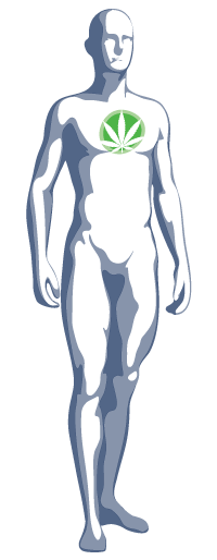 human-figure-transparent